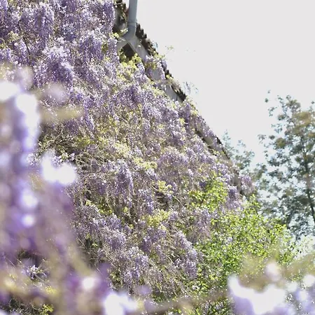 Tatil Evi Le Chai @ Le Prielle